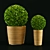 Sleek Greenery: Modern Plant 3D model small image 1