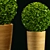 Sleek Greenery: Modern Plant 3D model small image 2