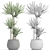 Decorative Yucca Plant Pot 3D model small image 3