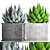 Agave Collection: Potted Plants 3D model small image 1