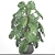 Lush Leaf Monstera 4 3D model small image 3