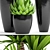 Tropical Plant Pot Collection 3D model small image 2