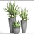 Tropical Plant Pot Collection 3D model small image 3