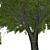 3D Tree Model - High Quality, Textured 3D model small image 2