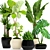 Green Oasis: 45 Potted Plants 3D model small image 1