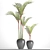 Tropical Potted Plant Collection 3D model small image 3