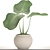 Tropical Bliss: Potted Exotic Plant 3D model small image 3