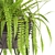 Lush Fern Pot 3D model small image 2