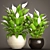 Lush Potted Collection: 50 Spathiphyllum 3D model small image 1