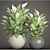 Lush Potted Collection: 50 Spathiphyllum 3D model small image 3