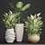Indoor Greenery Collection: Philodendron & Spatiphillum 3D model small image 3