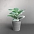 Ficus Lyrata Mini - High-Quality Interior Plant 3D model small image 3