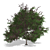 Realistic 3D Tree Model 3D model small image 1