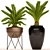 Spectacular Cycas Collection: 54 Potted Beauties 3D model small image 1