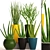 58 Piece Sansevieria Collection in Pots 3D model small image 1