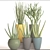 58 Piece Sansevieria Collection in Pots 3D model small image 3