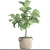 Lyrical Ficus: Elegant Greenery 3D model small image 3