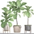 Lush Potted Ficus Lyrata 3D model small image 3