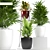 Versatile Plant Collection 3D model small image 1