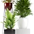 Versatile Plant Collection 3D model small image 2