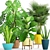 Green Oasis Collection: Potted Plants 3D model small image 1