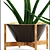  Green Oasis: 64 Sansevieria Collection 3D model small image 2