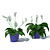 Tropical Peace Lily 3D model small image 1