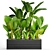Tropical Plant Collection: Banana Palm, Alocasia, Asplenium 3D model small image 1