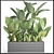 Tropical Plant Collection: Banana Palm, Alocasia, Asplenium 3D model small image 3