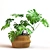 Monstera 2013: Modern, Versatile, Stunning 3D model small image 1