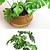 Monstera 2013: Modern, Versatile, Stunning 3D model small image 2