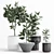 Modernica Ceramic Ficus Planters 3D model small image 1