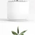 Modernica Ceramic Ficus Planters 3D model small image 2