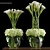 Elegant Calla Lily Arrangement 3D model small image 1