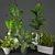 Modern Indoor Plant Collection 3D model small image 1