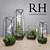 Elegant Glass Terrarium Set 3D model small image 1