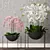 Exquisite Orchid Model - High-Quality 3D Max & OBJ Formats 3D model small image 1