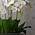 Exquisite Orchid Model - High-Quality 3D Max & OBJ Formats 3D model small image 3