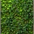 Vertical Greening Modules: Fitowall 3D model small image 2