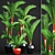 Tropical Plant Collection: Cyrtostachys 3D model small image 1