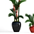 Tropical Plant Collection: Cyrtostachys 3D model small image 2