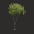 Summertime Tree Essence 3D model small image 1