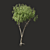 Summertime Tree Essence 3D model small image 2