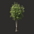 Summer Bliss: Exquisite Generic Tree 3D model small image 1