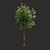 Summer Bliss: Exquisite Generic Tree 3D model small image 2