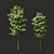 Summer Tree Set: Perfect for Closeups 3D model small image 2