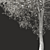 Optimized Tree Model for Summer 3D model small image 3