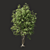 Summer Tree Model - Mid Range 3D model small image 1