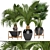 Tropical Oasis: Palm Tree Collection 3D model small image 1