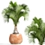  Bottle Palm Tree: Exotic and Beautiful 3D model small image 1